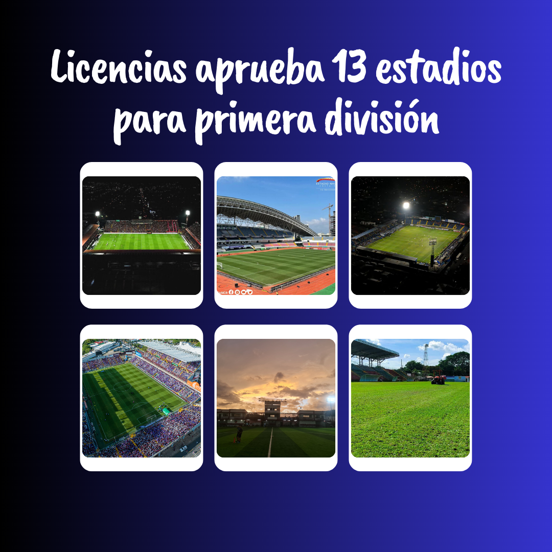 Licencias aprueba 13 estadios para partidos de primera división.